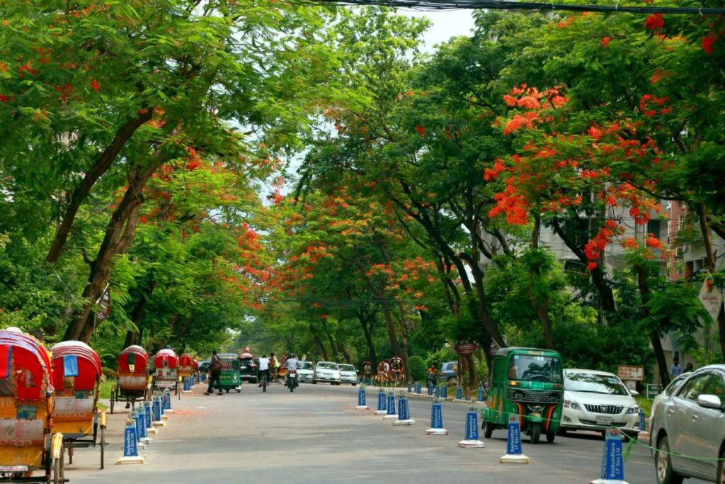 Bashundhara R/A